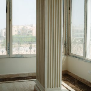 2-NMG-F
